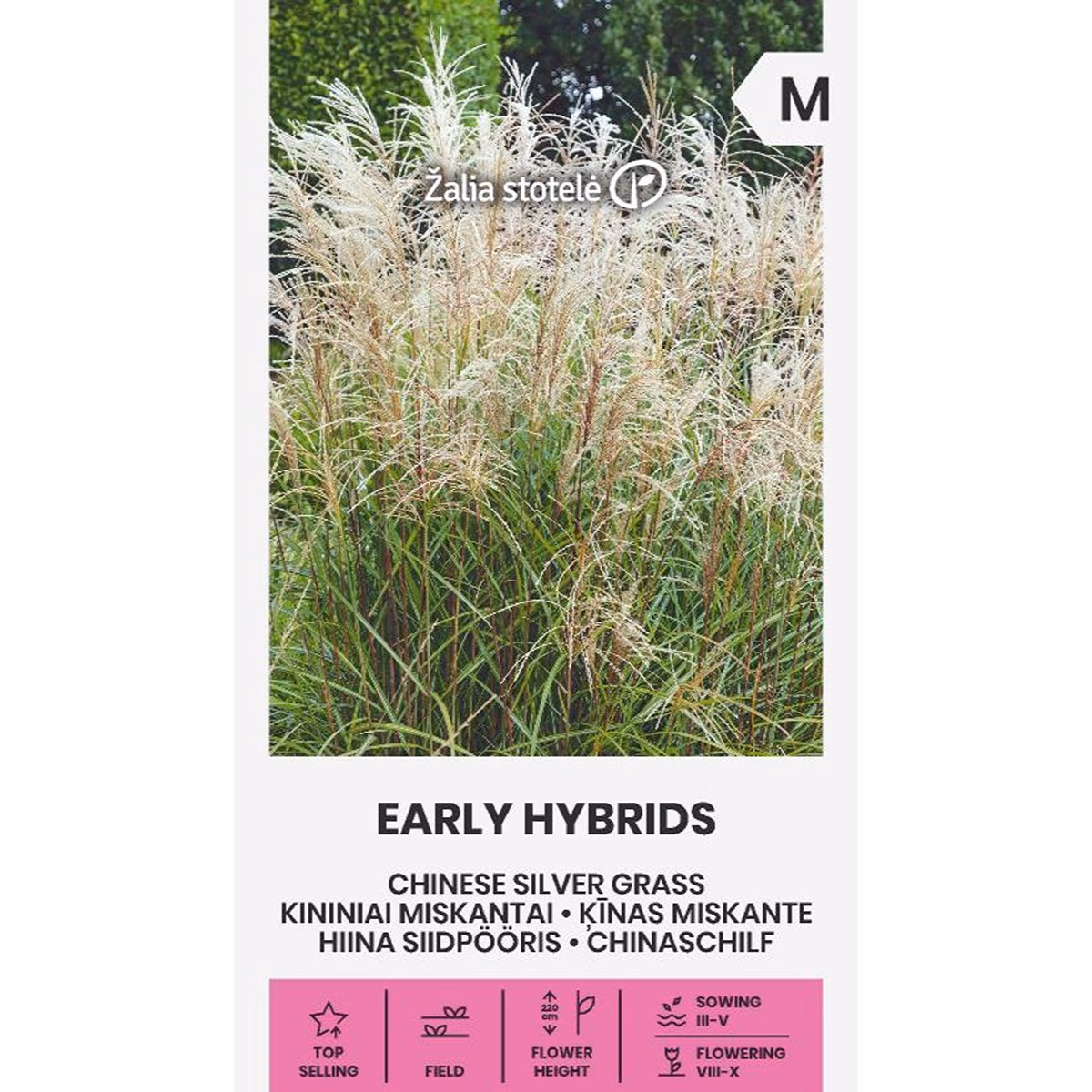 Early Hybrids - miskantus