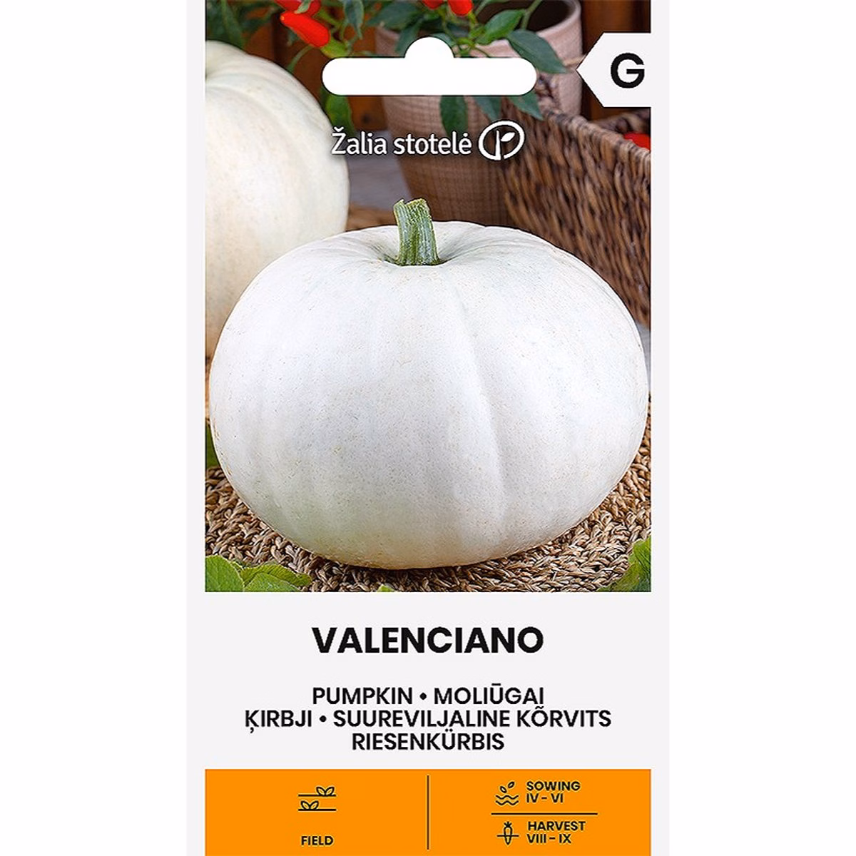 Valenciano - pumpa