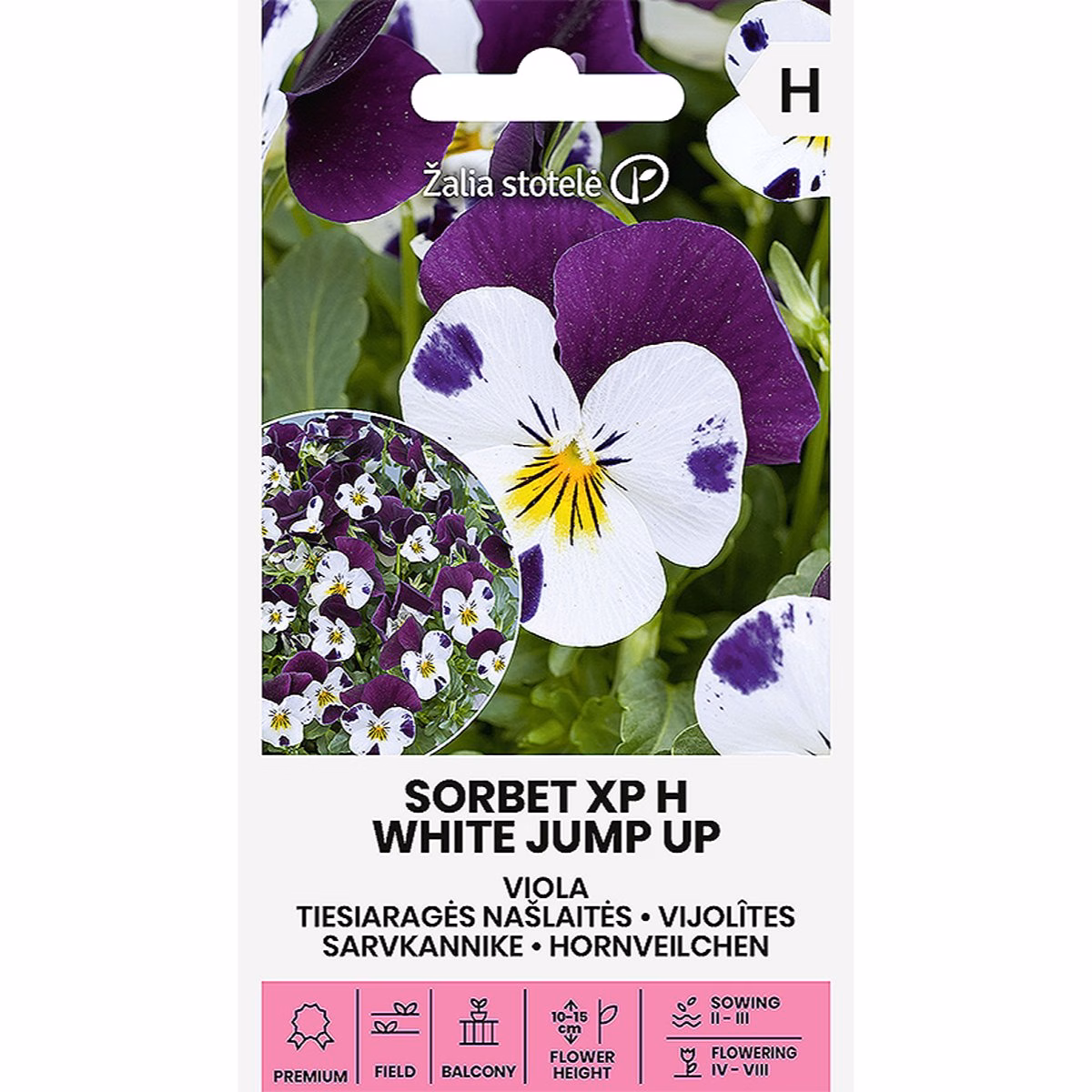 Sorbet XP H White Jump Up - hornviol