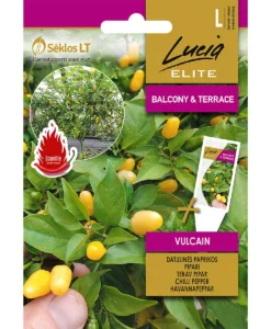Vulcain - chili