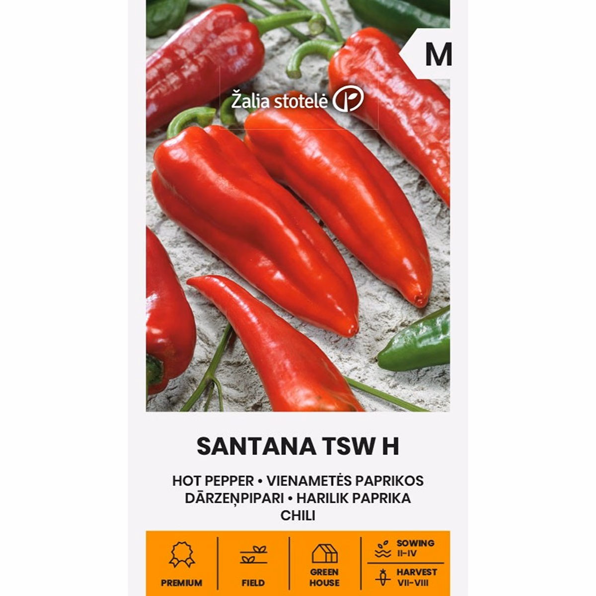 Santana TSW H - chili