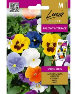 Spring Stars - pensé