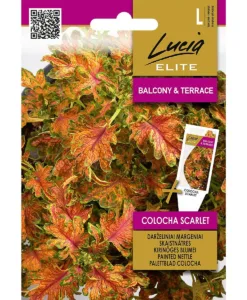 Colocha Scarlet - palettblad