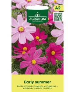 Early Summer - rosenskära