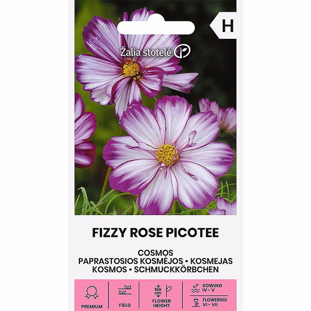 Fizzy Rose Picotee - rosenskära