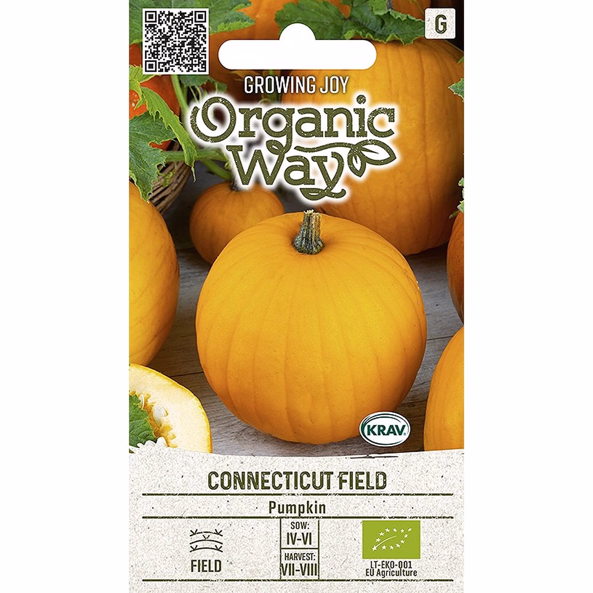 Connecticut Field - pumpa