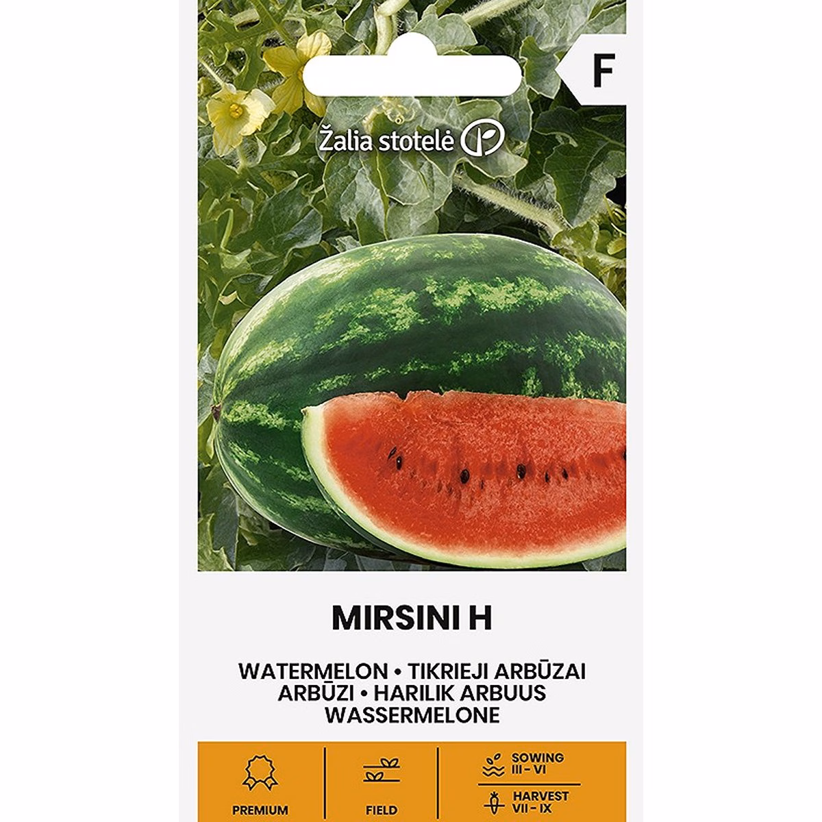 Mirsini H - vattenmelon