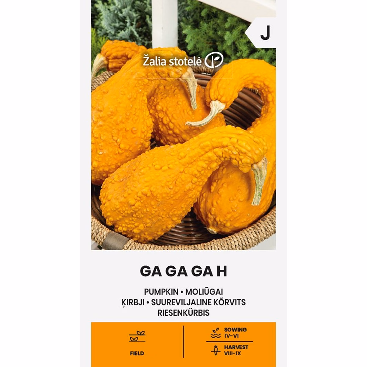 Ga Ga Ga H - pumpa