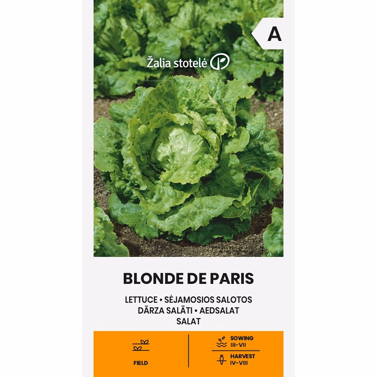 Blonde De Paris - sallat