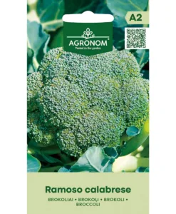 Ramoso Calabrese - broccoli