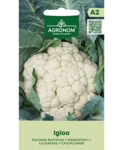 Igloo - blomkål
