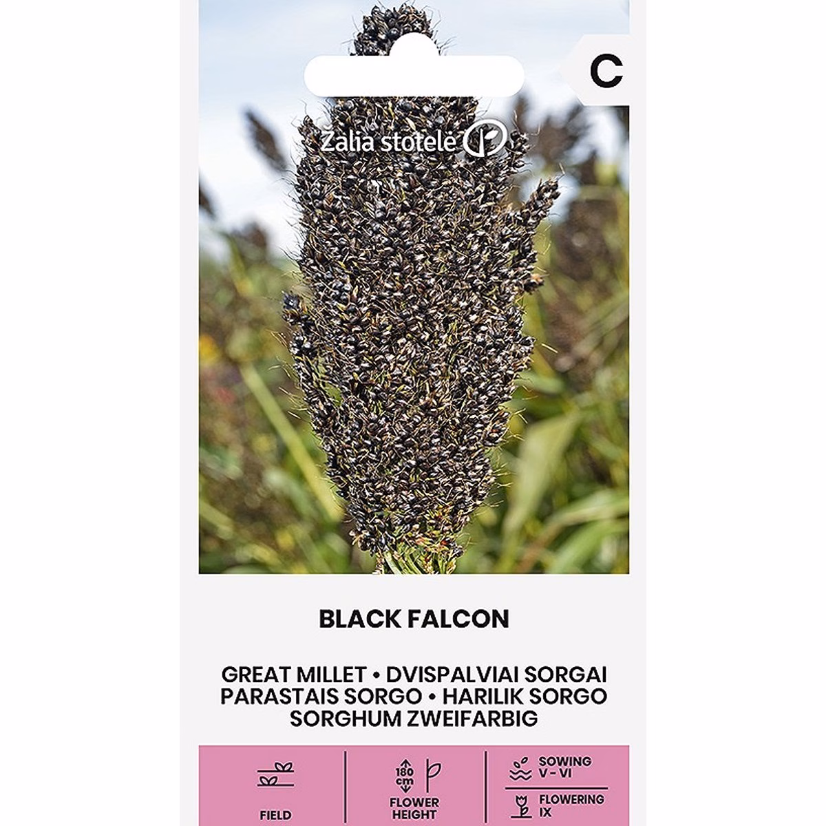 Black Falcon - durra