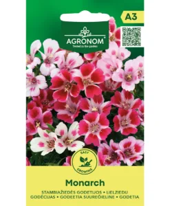 Monarch - atlasblomma