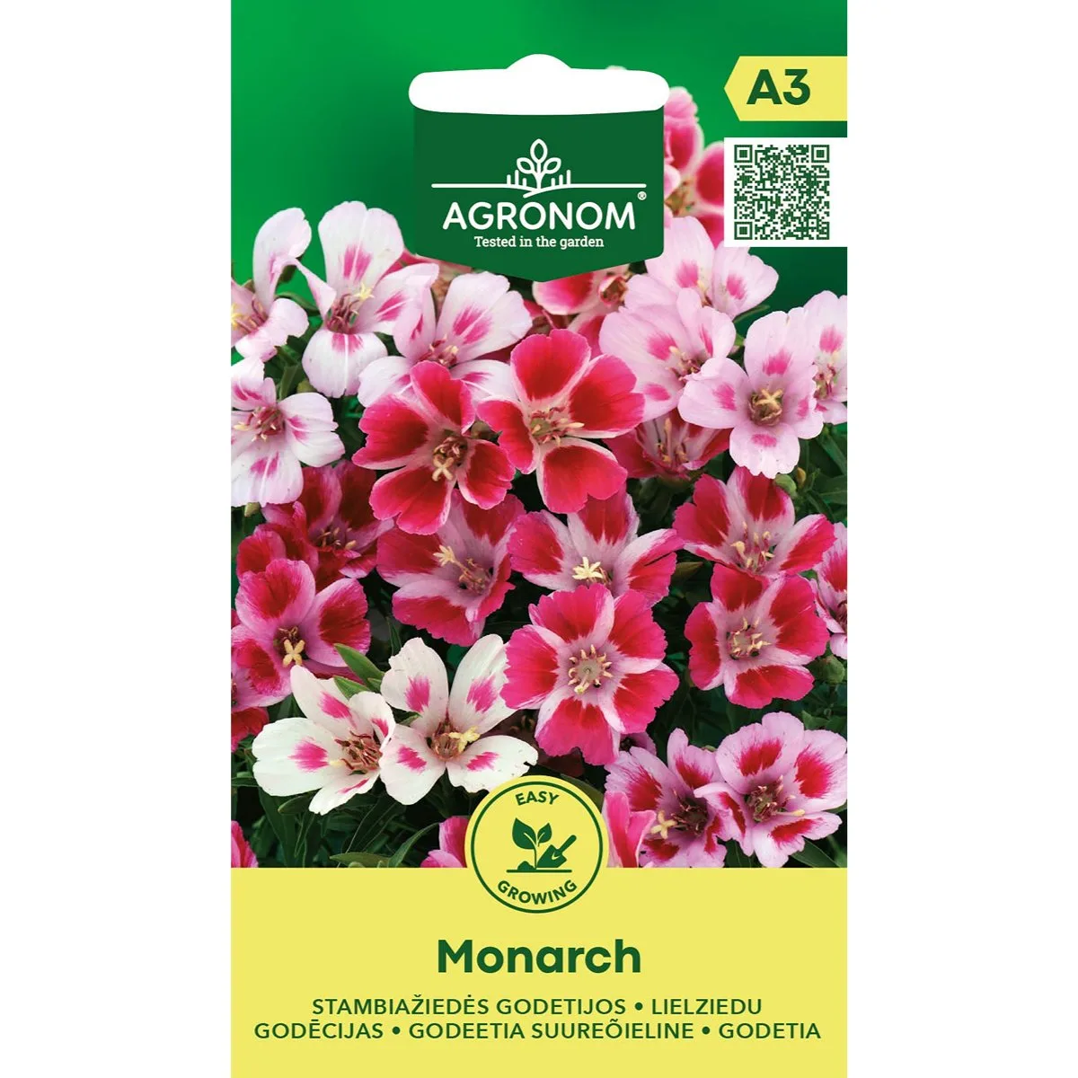 Monarch - atlasblomma
