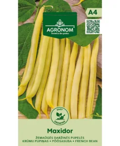 Maxidor - buskvaxböna