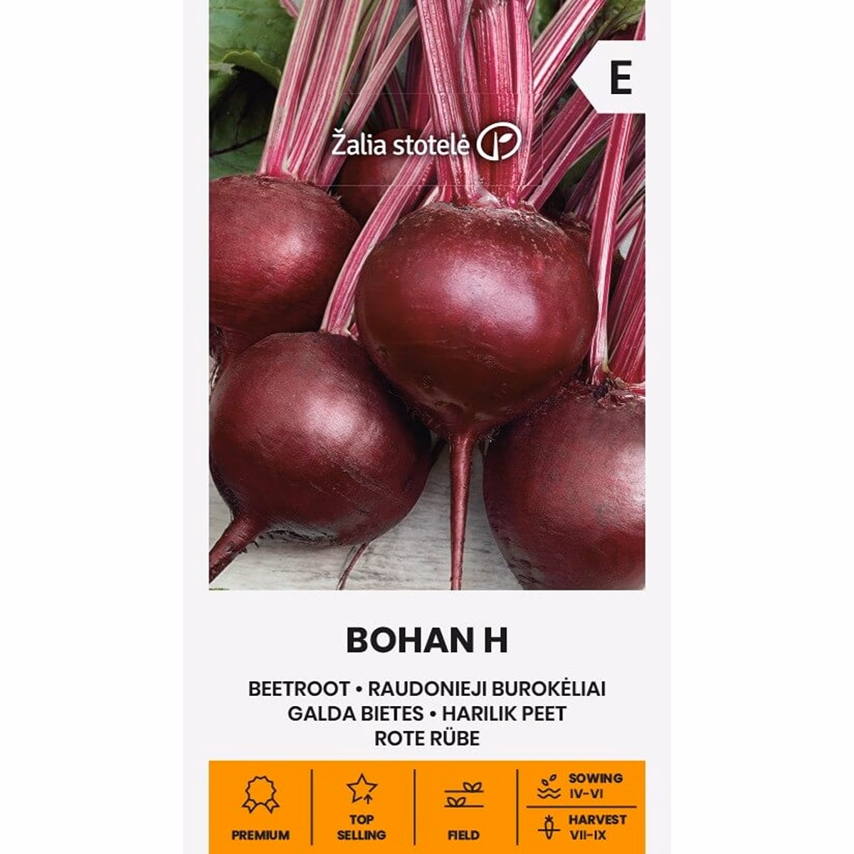 Bohan H - rödbeta