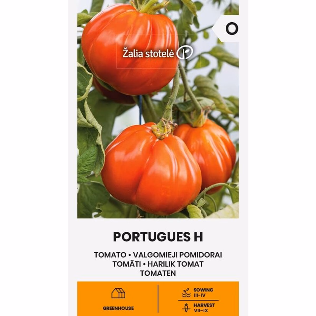 Portugues H - bifftomat