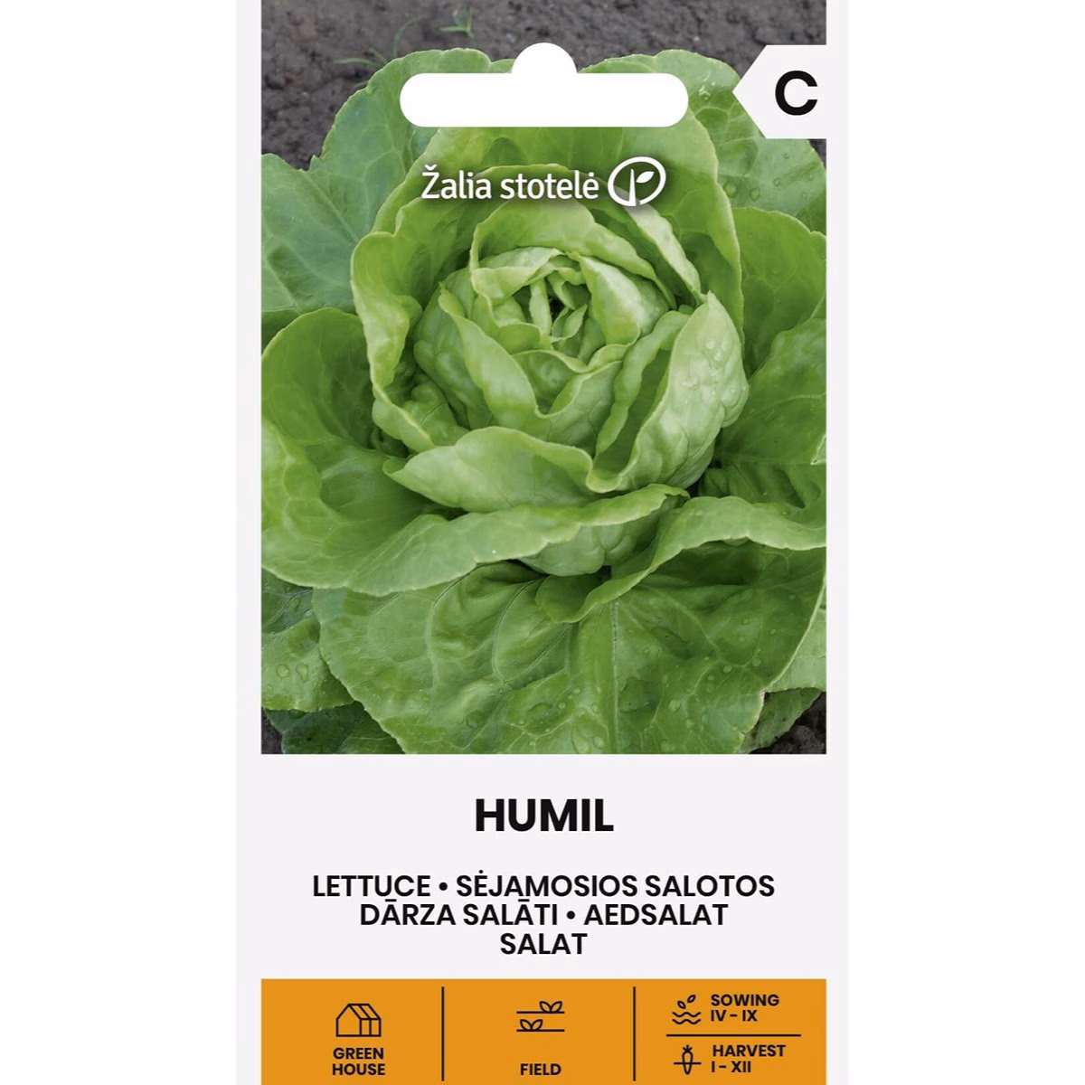 Humil - sallat