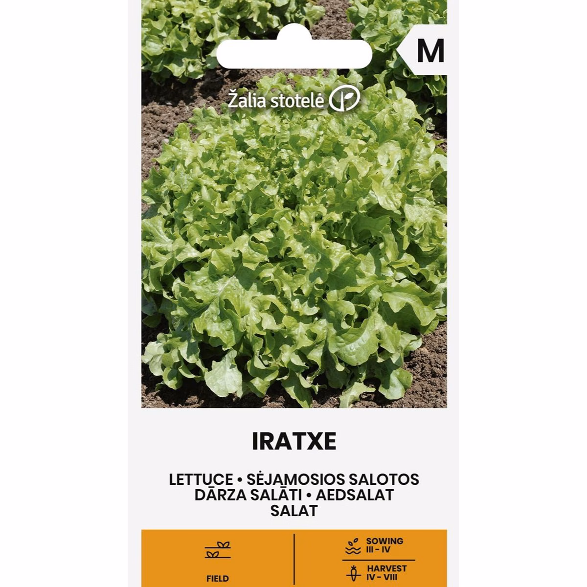 Iratxe - sallat
