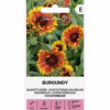 Burgundy - kokardblomster