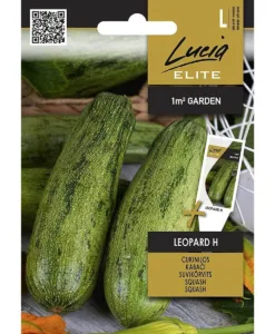 Leopard H - squash