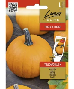 Yellowgirls H - pumpa