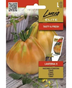 Lanterna H - bifftomat