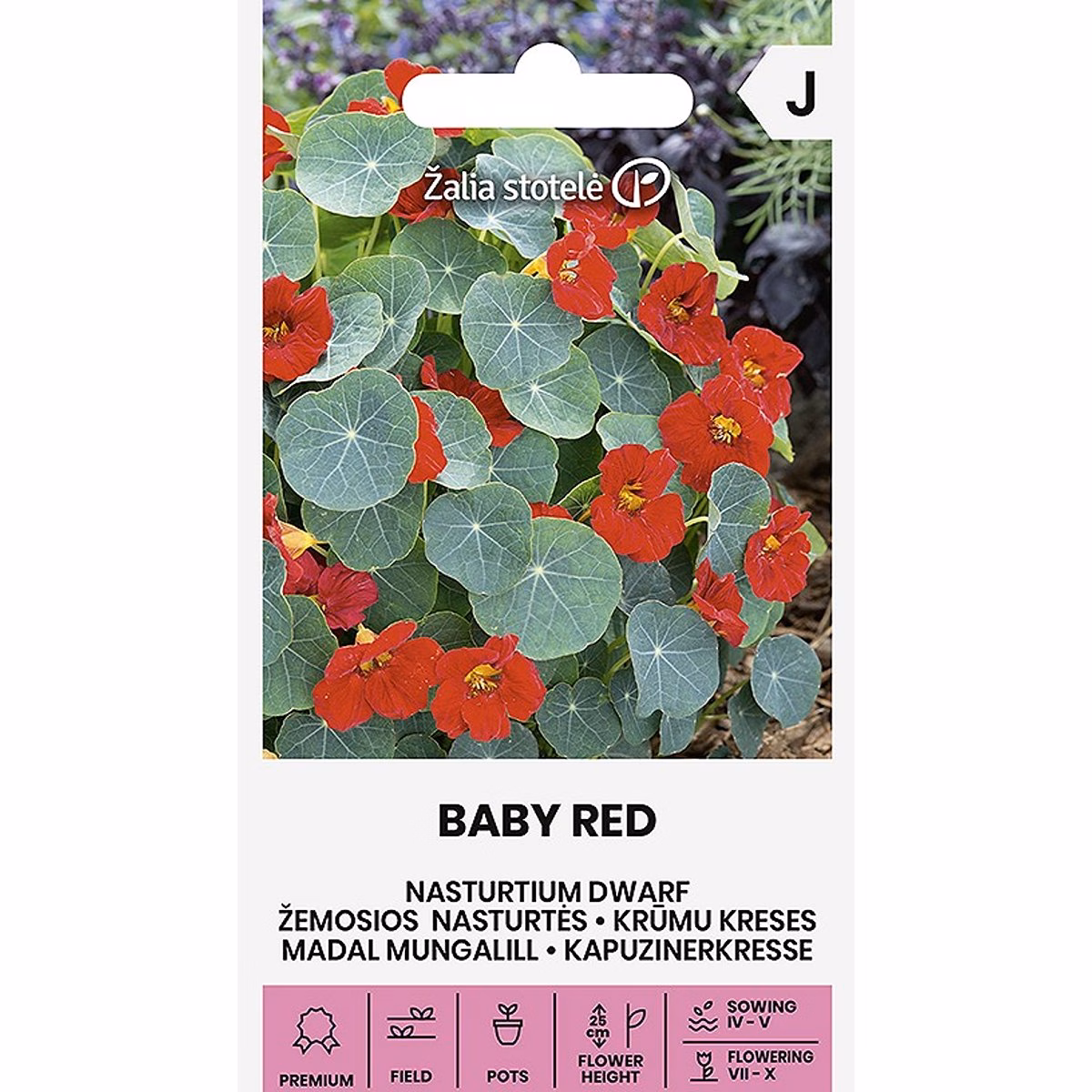 Baby Red - dvärgkrasse