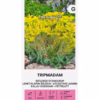 Tripmadam - fetknopp